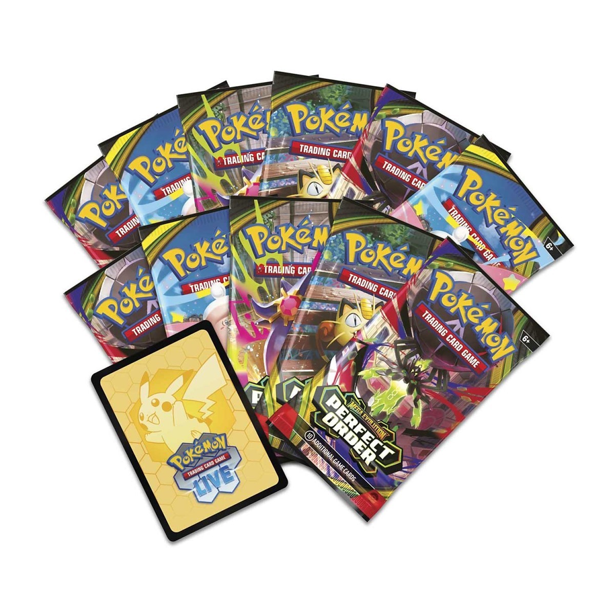 Pokémon TCG: Caja de entrenador Élite (Elite Trainer Box - ETB) de 9 sobres + accesorios Perfect Order